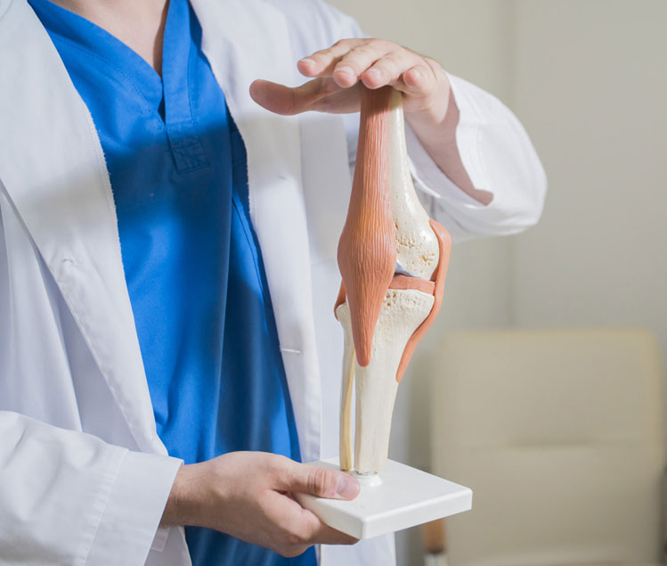 Knee Replacement Knee Replacement